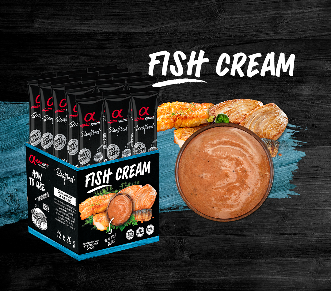 BANNER_FISH_CREAM.png